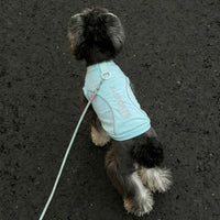 Pet Cooling Vest for Small Dogs & Cats, Summer Sun Protection & Anti-Shedding
