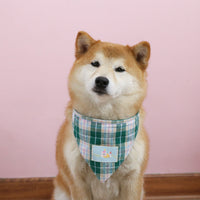 Pet Plaid Bandana or Bow Tie Collar Set for Cats and Dogs