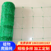 Garden Plant Trellis Netting for Climbing Plants