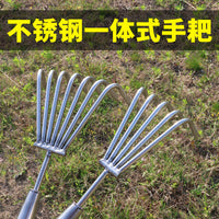Stainless Steel Clamming Rake with Wooden Handle for Beachcombing and Gardening