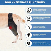 Pet Dog Leg Brace for Injury Support and Protection