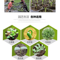 Thickened Seedling Tray for Succulents, Vegetables, Fruits, and Forestry Cuttings