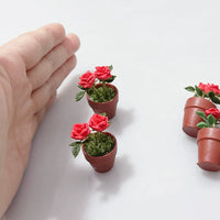 Mini Rose Potted Plant Model