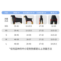 Pet Dog Wheelchair for Rehabilitation and Walking Assistance