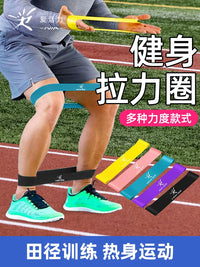 Resistance Loop Bands Set for Leg Training, Fitness, and Rehabilitation - 3-Pack Progressive Resistance