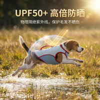 Dog Cooling Vest Color Block Outdoor Pet Apparel for Small to Medium Dogs
