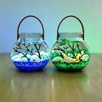 Leather Handle Glass Terrarium Vase for Hydroponics and Micro Landscape