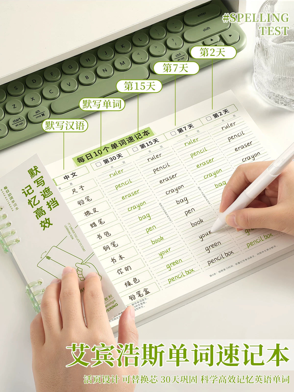 Ebbinghaus Forgetting Curve English Vocabulary Notebook for Students