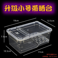2nd Gen Reptile Breeding Box with Optional Accessories for Spiders, Geckos, Snakes, Lizards, Scorpions, Centipedes, and Turtle Hatchlings