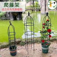 Metal Plant Trellis for Climbing Plants, Peonies, and Roses - Indoor/Outdoor Support Cage