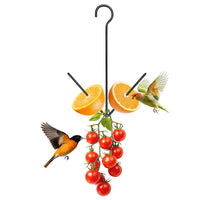 Hanging Fruit Bird Feeder for Hummingbirds & Wild Birds, Outdoor Vegetable Meat Feeder with Squirrel-Proof Hook & Fruit Tray