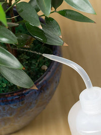 Long Spout Squeeze Bottle for Watering Plants, Succulents, and Indoor Gardening