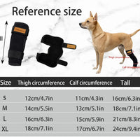Dog Rear Leg Brace for Injury Recovery and Joint Protection, Breathable Pet Hock and Knee Support