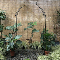 Metal Garden Arch Trellis for Climbing Plants, Roses, and Vines - Outdoor Support Frame