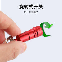 Mini LED Keychain Flashlight, High Brightness Aluminum Alloy Portable Torch for Students and Everyday Carry