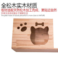 Wall-Mounted Cat Climbing Shelf & Perch Set for Indoor Cats