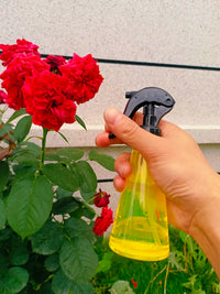 Mini Portable Spray Bottle for Plants and Hydration
