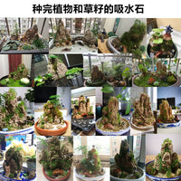 Absorbent Rock Bonsai Landscape Ornament for Micro-Landscape Aquariums and Gardens