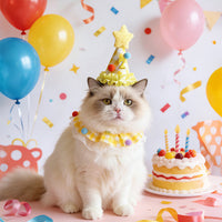 Pet Birthday Hat and Bandana Set for Dogs and Cats