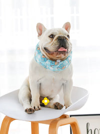 Pet Cooling Bandana for Dogs - Summer Heat Relief Ice Collar for French Bulldogs, Corgis, and English Bulldogs