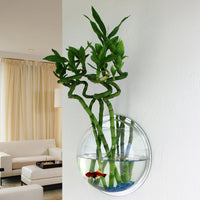 Wall-Mounted Acrylic Fish Tank Mini Round Aquarium for Home Decor