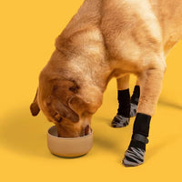Pet Anti-Slip Indoor Socks for Cats and Dogs, Warm Paw Protectors for Small to Large Breeds