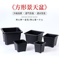 Thickened Breathable Square Succulent Planter Pot for Seedlings and Plants, Root Control, Anti-Rot