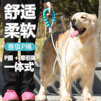 Dog Leash Anti-Pull Training P-Chain for Small Medium Large Dogs Puppy Walking Lead