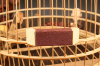 Bird Beak Grinder with Sandpaper for Myna Thrush Starling Birds