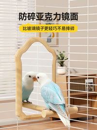 Parrot Mirror Toy with Wooden Perch for Cage Decoration - Relieves Boredom for Budgies, Cockatiels, and Small Birds