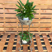 Vintage Wrought Iron Outdoor Plant Stand for Patio Garden Decor