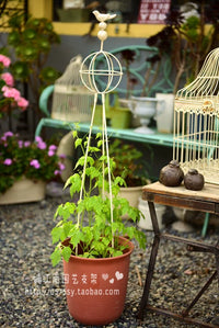 Adjustable Spherical Distressed Bird Trellis for Climbing Plants
