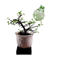 Automatic Gravity Drip Plant Waterer for Indoor/Outdoor Plants