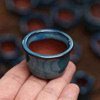 Miniature Blue Ceramic Succulent Planter Pot with Cartoon Design