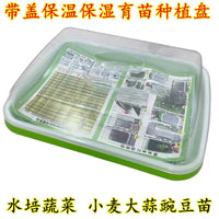 Thickened Seedling Tray Hydroponic Bean Sprout Growing Kit for Home Balcony Vegetable Cultivation