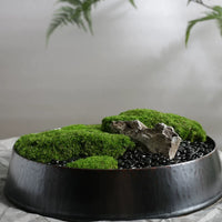 Preserved Moss Bonsai Artificial Plant Micro Landscape Ornament for Table Decor