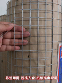 Galvanized Steel Wire Mesh Fence for Animal Enclosures, Pest Control, and Balcony Protection