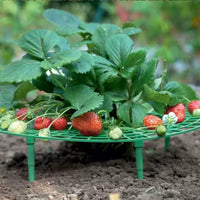 Strawberry Plant Support Stand for Garden and Planters, Prevents Rot and Toppling