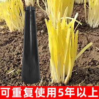 Garlic Chive Growing Tube for Home Balcony Vegetable Cultivation