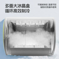 Cat Cooling Igloo Bed for Summer with Ice Crystal Packs