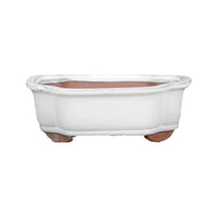 Glazed Ceramic Succulent Planter Pot for Indoor Plants