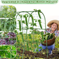 Garden Trellis for Climbing Plants, Arch Support for Cucumber, Tomato, Pea, Gourd, and Vine Fruits