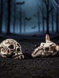 Mini Crow Skull Animal Terrarium DIY Decor Micro Landscape Aquarium Ornament Set