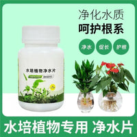 Aquatic Plant Water Purifying Tablets for Odor Removal, Sterilization, and Freshness