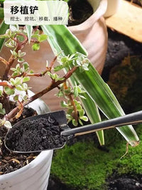 Japanese Stainless Steel Mini Garden Shovel for Potted Plants and Succulents