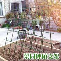 Metal Garden Trellis Plant Support Stakes for Climbing Plants and Flowers