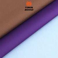30*50 Pongee Striped 109g Foamed Micro-Porous Woven Polyester Fabric for Down Jackets & Casual Wear