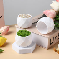 Diamond-Shaped PP Plastic Flower Pot for Crochet and Knitting Projects
