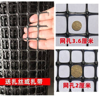 Heavy-Duty Plastic Poultry Fencing Mesh for Gardens and Farms