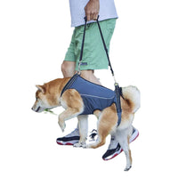 Dog Rear Leg Support Harness for Senior, Injured, or Disabled Dogs